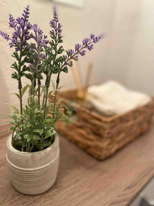 Zentrale Wohnung Gmunden Alte Baeckerei 외부 사진