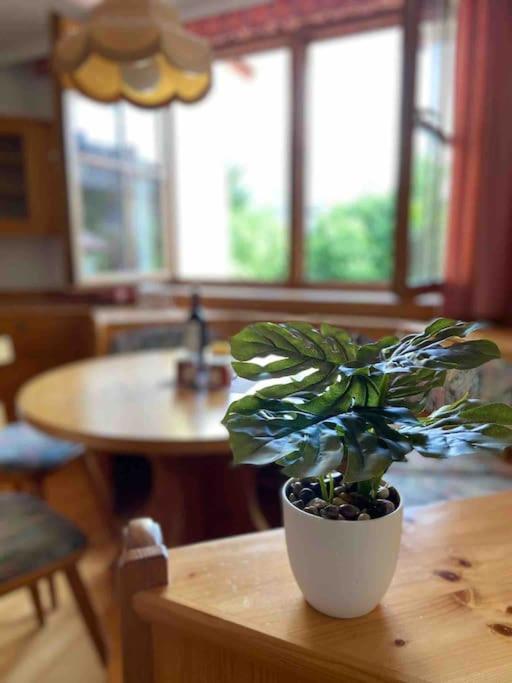 Zentrale Wohnung Gmunden Alte Baeckerei 외부 사진